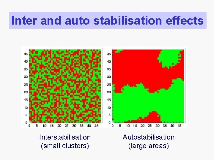 Inter and auto stabilisation effects Interstabilisation (small clusters) Autostabilisation (large areas) 