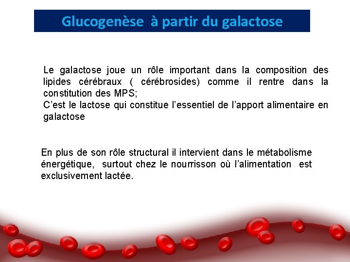 Glucogenèse à partir du galactose Le galactose joue un rôle important dans la composition