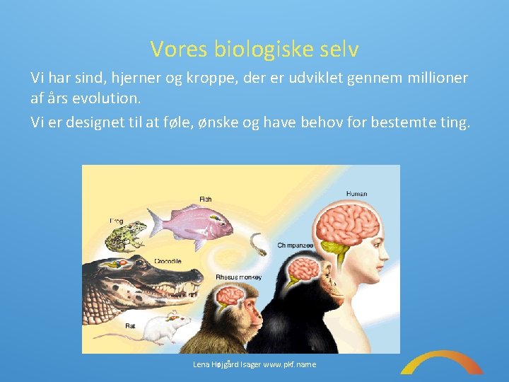 Vores biologiske selv Vi har sind, hjerner og kroppe, der er udviklet gennem millioner