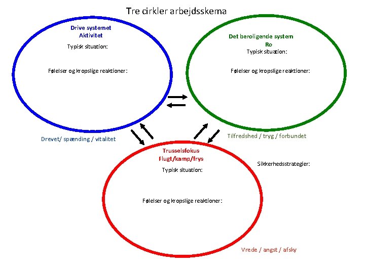 Tre cirkler arbejdsskema Drive systemet Aktivitet Det beroligende system Ro Typisk situation: Følelser og