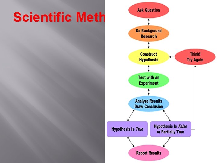 Scientific Method 