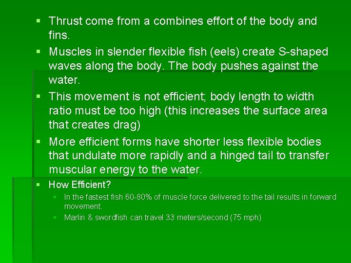 § Thrust come from a combines effort of the body and fins. § Muscles