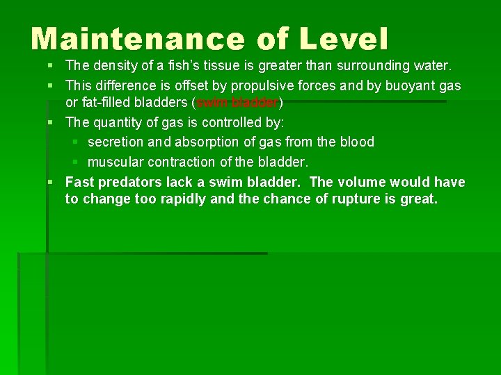 Maintenance of Level § The density of a fish’s tissue is greater than surrounding