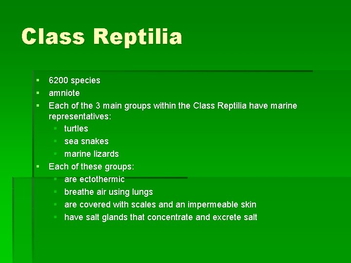 Class Reptilia § 6200 species § amniote § Each of the 3 main groups
