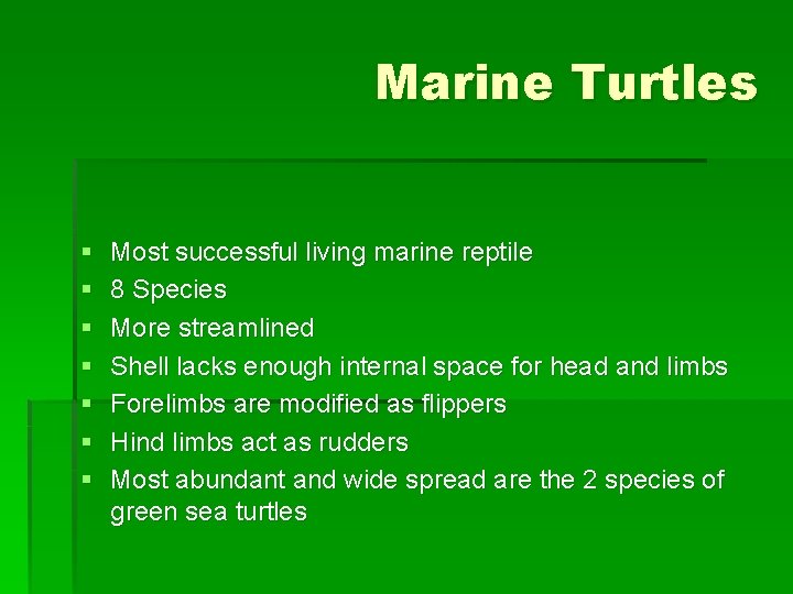 Marine Turtles § § § § Most successful living marine reptile 8 Species More