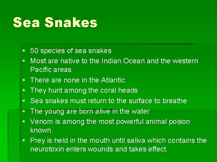 Sea Snakes § 50 species of sea snakes § Most are native to the