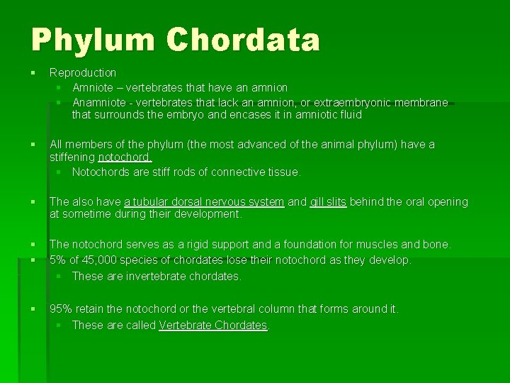 Phylum Chordata § Reproduction § Amniote – vertebrates that have an amnion § Anamniote