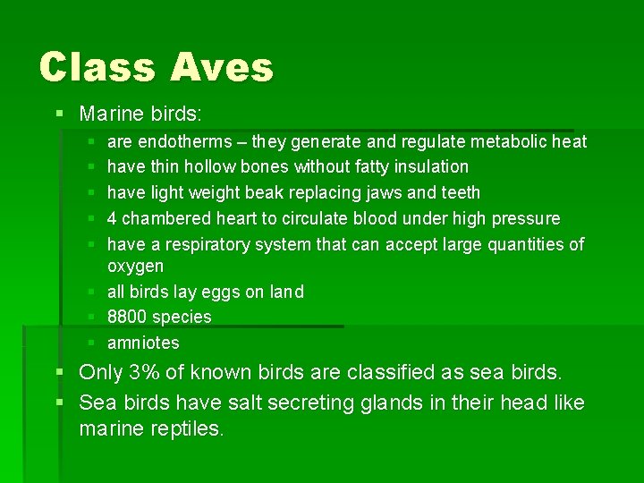 Class Aves § Marine birds: § § § are endotherms – they generate and