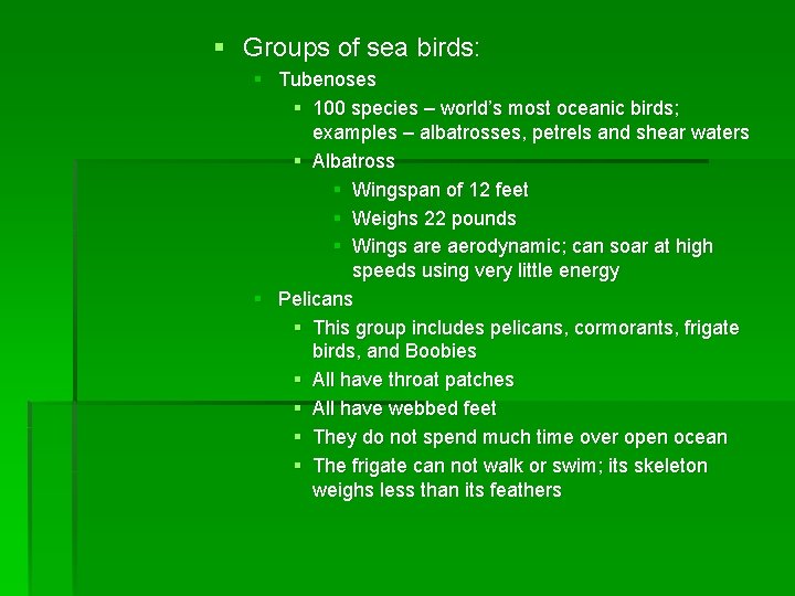 § Groups of sea birds: § Tubenoses § 100 species – world’s most oceanic