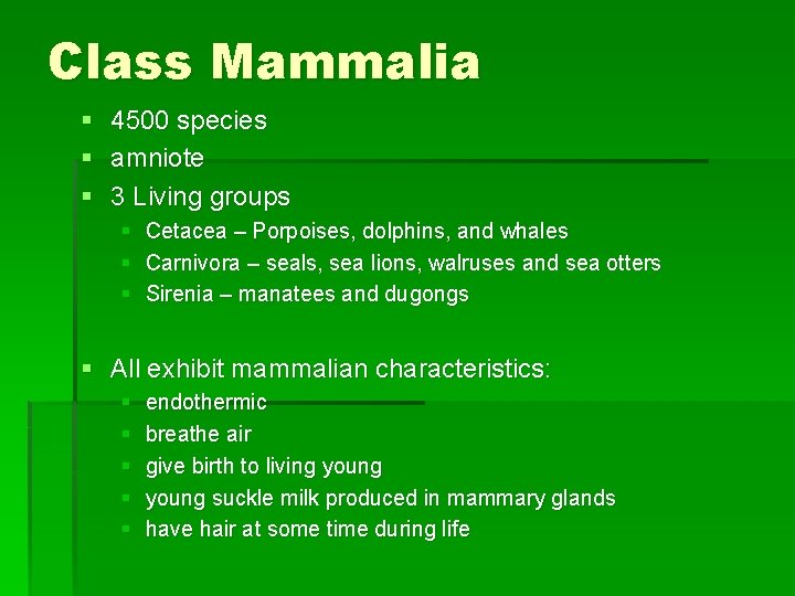 Class Mammalia § § § 4500 species amniote 3 Living groups § § §