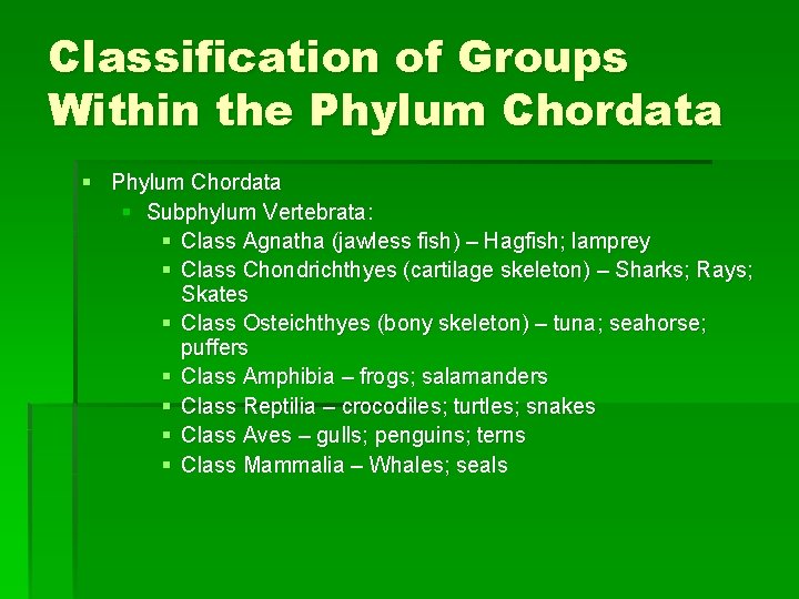 Classification of Groups Within the Phylum Chordata § Subphylum Vertebrata: § Class Agnatha (jawless