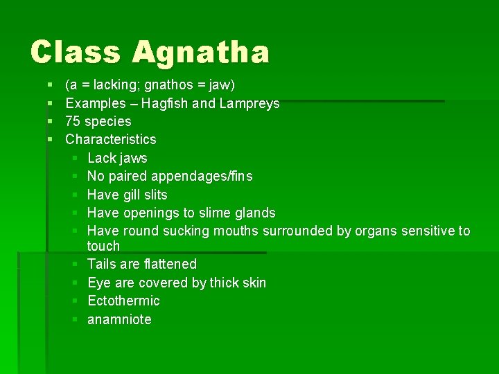 Class Agnatha § § (a = lacking; gnathos = jaw) Examples – Hagfish and
