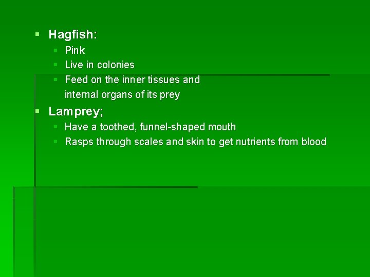 § Hagfish: § Pink § Live in colonies § Feed on the inner tissues