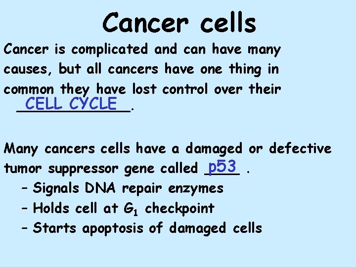 Cancer cells Cancer is complicated and can have many causes, but all cancers have