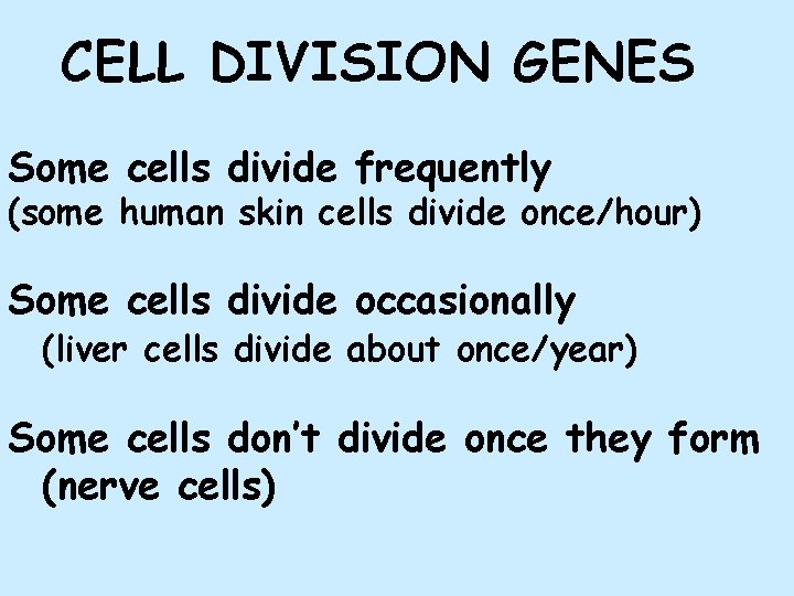 CELL DIVISION GENES Some cells divide frequently (some human skin cells divide once/hour) Some