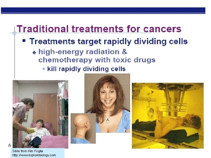 Slide from Kim Foglia http: //www. explorebiology. com 