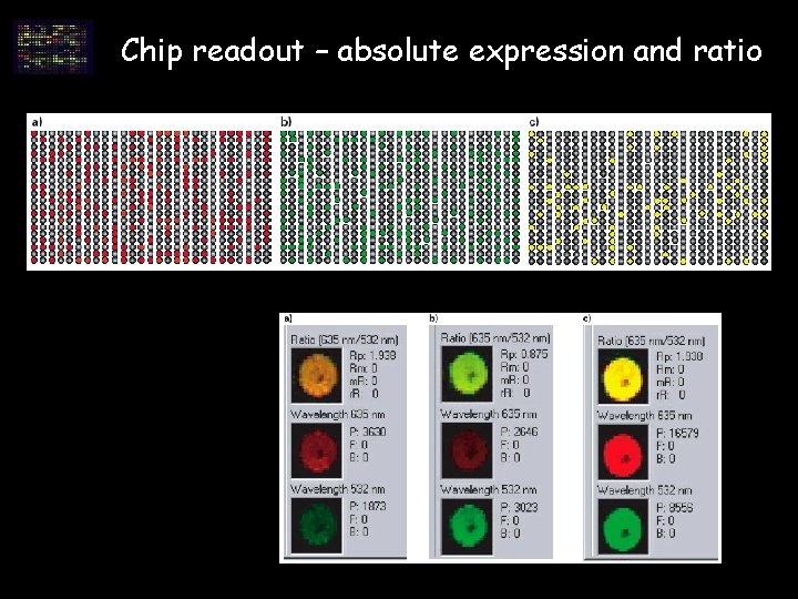 Chip readout – absolute expression and ratio Chip readout – absolute expression and ratio