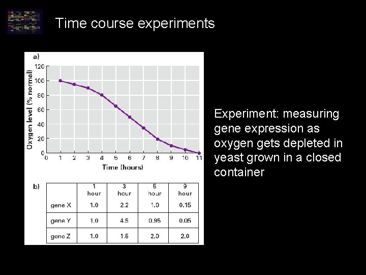 Time course experiments Experiment: measuring gene expression as oxygen gets depleted in yeast grown Time course experiments Experiment: measuring gene expression as oxygen gets depleted in yeast grown