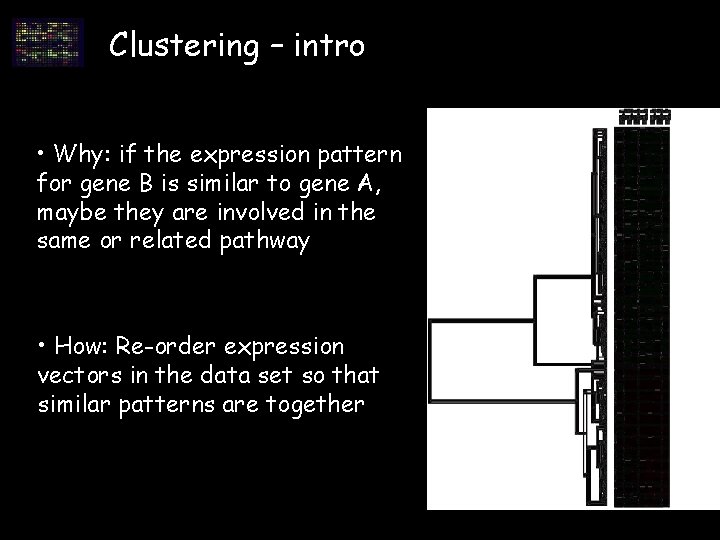Clustering – intro • Why: if the expression pattern for gene B is similar Clustering – intro • Why: if the expression pattern for gene B is similar