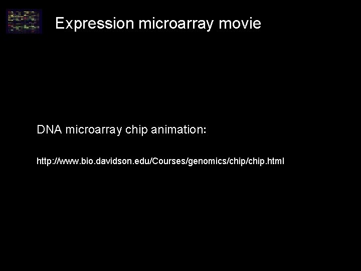 Expression microarray movie DNA microarray chip animation: http: //www. bio. davidson. edu/Courses/genomics/chip. html Expression microarray movie DNA microarray chip animation: http: //www. bio. davidson. edu/Courses/genomics/chip. html