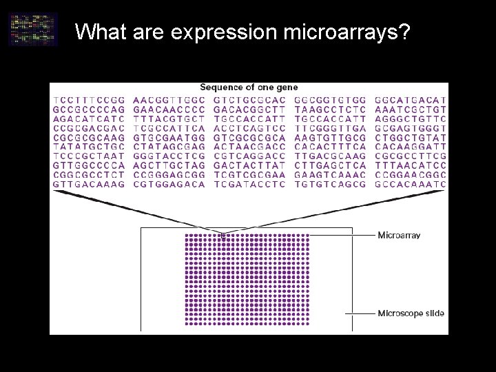 What are expression microarrays? What are expression microarrays?