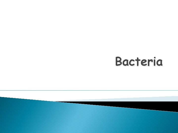 Bacteria 