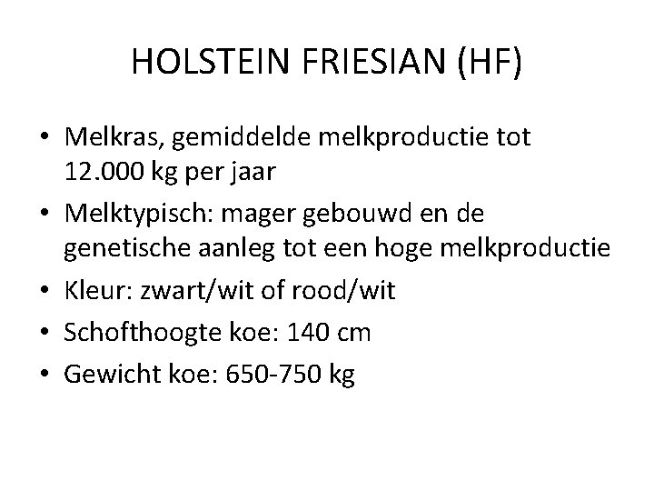 HOLSTEIN FRIESIAN (HF) • Melkras, gemiddelde melkproductie tot 12. 000 kg per jaar •