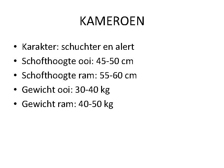 KAMEROEN • • • Karakter: schuchter en alert Schofthoogte ooi: 45 -50 cm Schofthoogte
