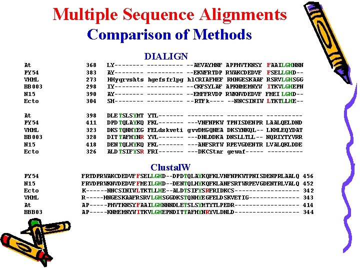 Multiple Sequence Alignments Comparison of Methods DIALIGN At PY 54 VHML BB 003 N Multiple Sequence Alignments Comparison of Methods DIALIGN At PY 54 VHML BB 003 N