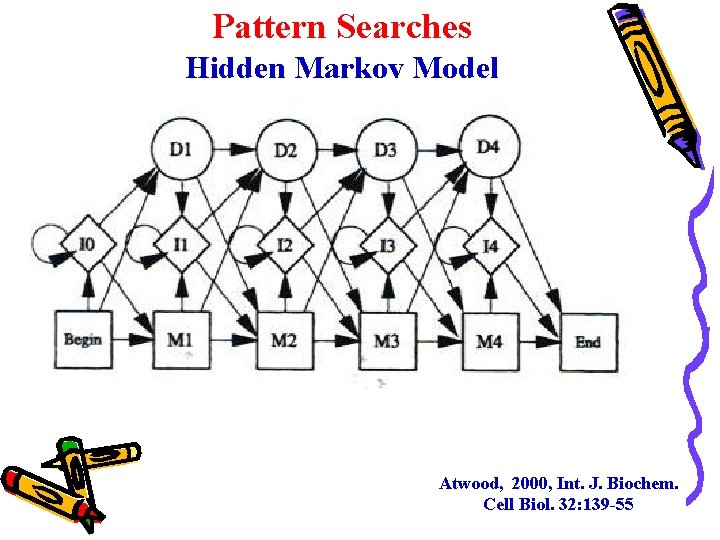 Pattern Searches Hidden Markov Model Atwood, 2000, Int. J. Biochem. Cell Biol. 32: 139 Pattern Searches Hidden Markov Model Atwood, 2000, Int. J. Biochem. Cell Biol. 32: 139