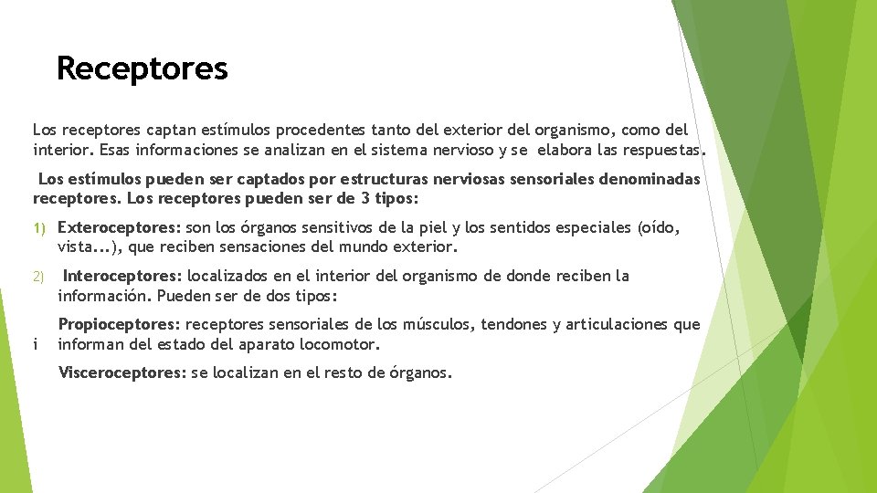 Receptores Los receptores captan estímulos procedentes tanto del exterior del organismo, como del interior.
