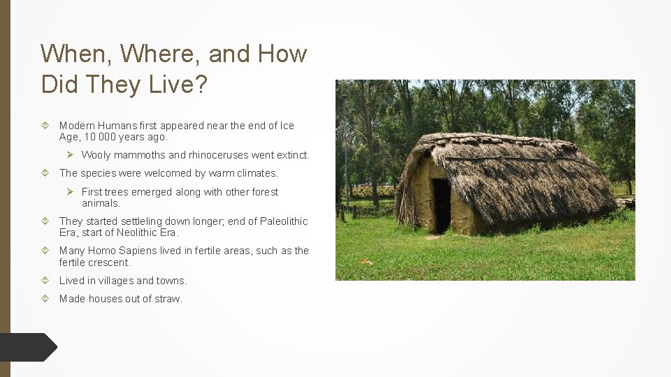 When, Where, and How Did They Live? Modern Humans first appeared near the end