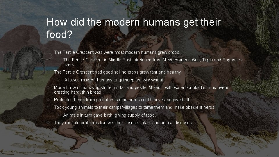 How did the modern humans get their food? The Fertile Crescent was were most