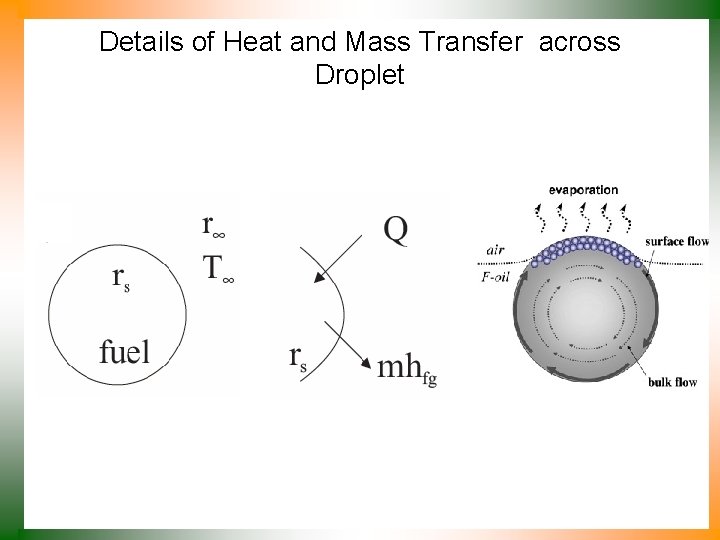 Details of Heat and Mass Transfer across Droplet 