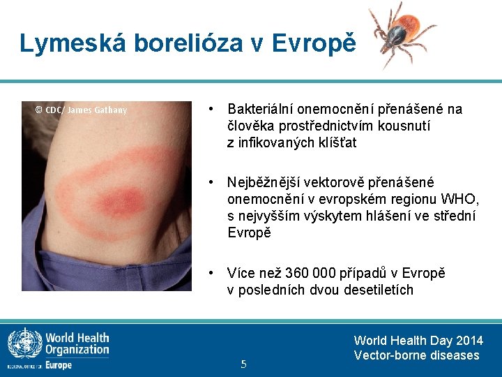 Lymeská borelióza v Evropě © CDC/ James Gathany • Bakteriální onemocnění přenášené na člověka