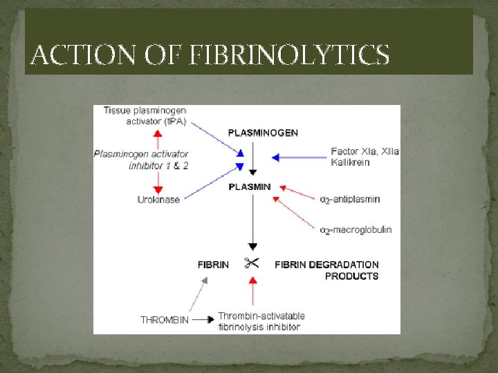 ACTION OF FIBRINOLYTICS 