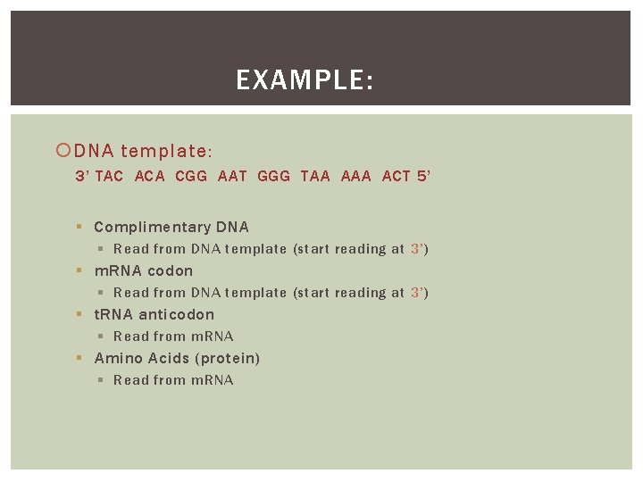 EXAMPLE: DNA template: 3’ TAC ACA CGG AAT GGG TAA ACT 5’ § Complimentary
