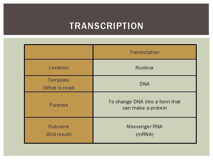 TRANSCRIPTION Transcription Location Nucleus Template (What is read) DNA Purpose To change DNA into