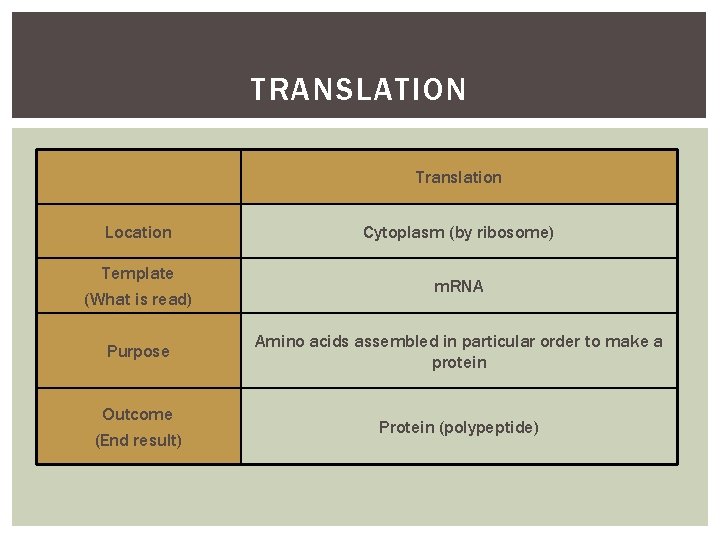 TRANSLATION Translation Location Cytoplasm (by ribosome) Template (What is read) m. RNA Purpose Amino