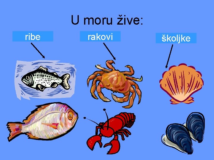 U moru žive: ribe rakovi školjke 