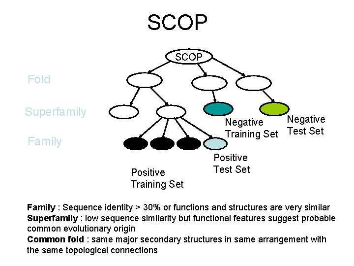 SCOP Fold Superfamily Negative Training Set Test Set Family Positive Training Set Positive Test