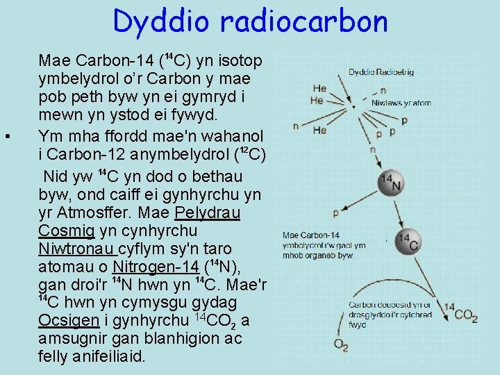 Dyddio radiocarbon • Mae Carbon-14 (14 C) yn isotop ymbelydrol o’r Carbon y mae