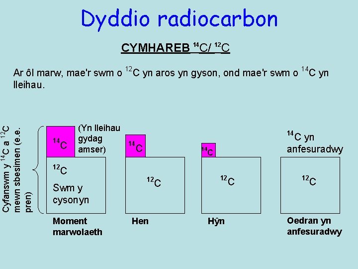 Dyddio radiocarbon CYMHAREB 14 C/ 12 C Cyfanswm y 14 C a 12 C