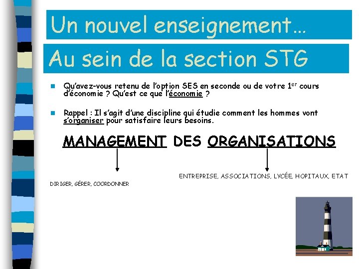 Un nouvel enseignement… Au sein de la section STG n Qu’avez-vous retenu de l’option