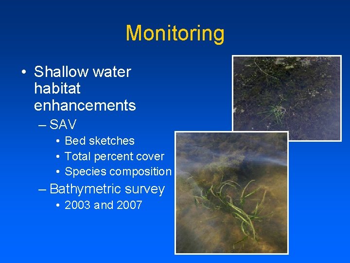 Monitoring • Shallow water habitat enhancements – SAV • Bed sketches • Total percent