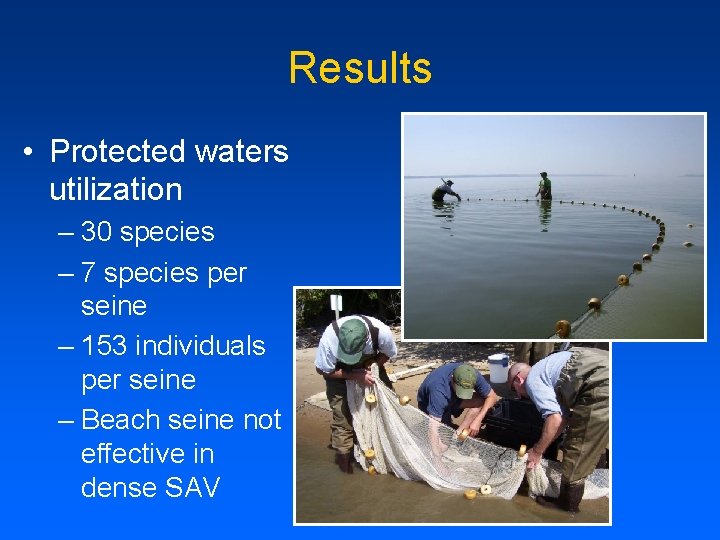 Results • Protected waters utilization – 30 species – 7 species per seine –