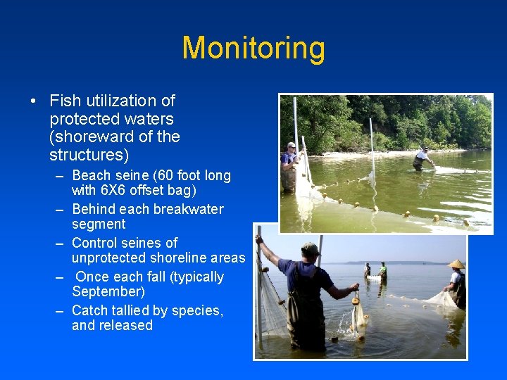 Monitoring • Fish utilization of protected waters (shoreward of the structures) – Beach seine