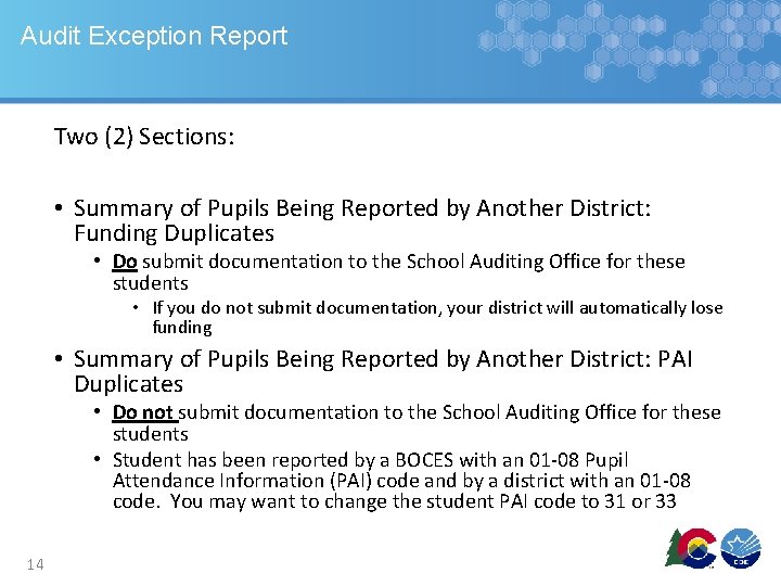 Audit Exception Report Two (2) Sections: • Summary of Pupils Being Reported by Another