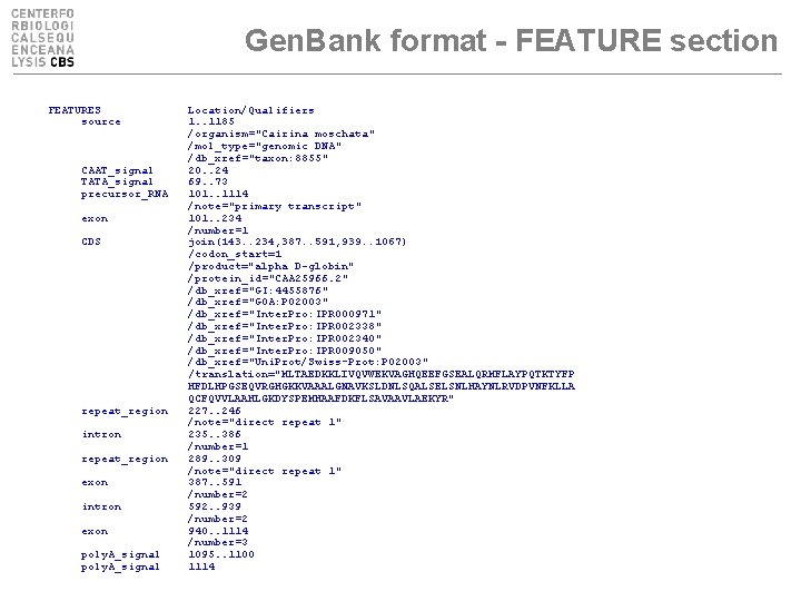 Gen. Bank format - FEATURE section FEATURES source CAAT_signal TATA_signal precursor_RNA exon CDS repeat_region