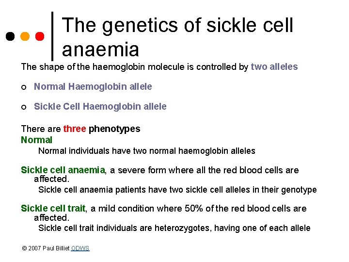 The genetics of sickle cell anaemia The shape of the haemoglobin molecule is controlled